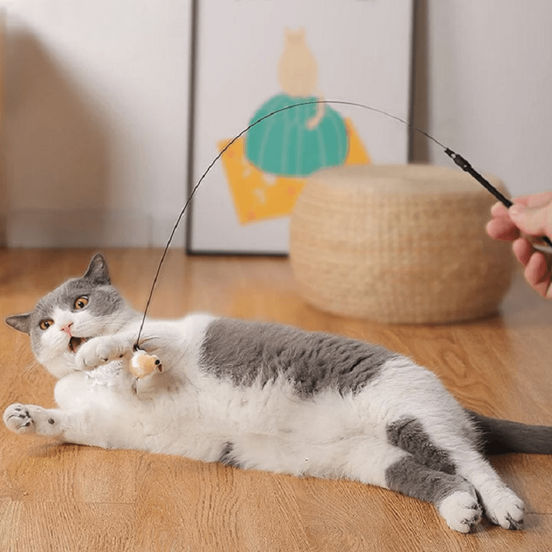 Kitten Playing Teaser Wand Toy