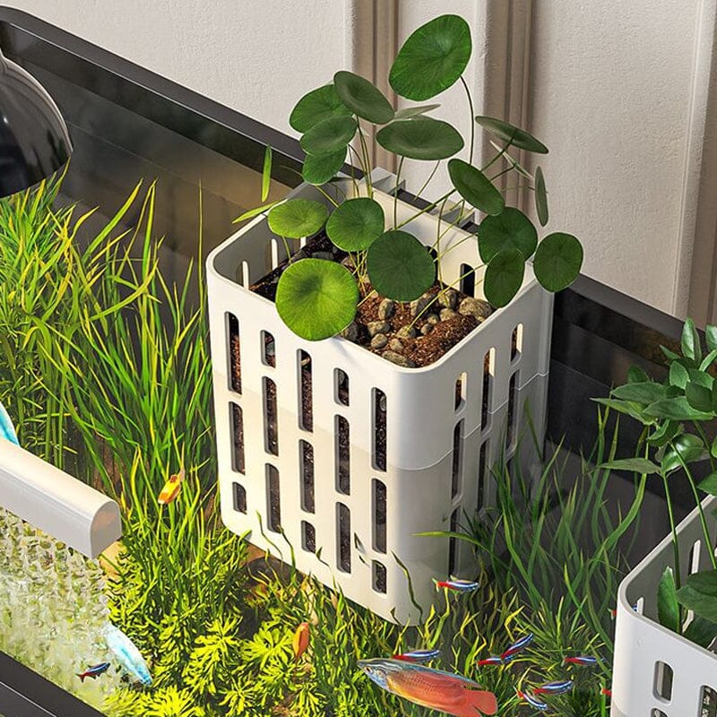 Fish Tank Hydroponic Planting Basket