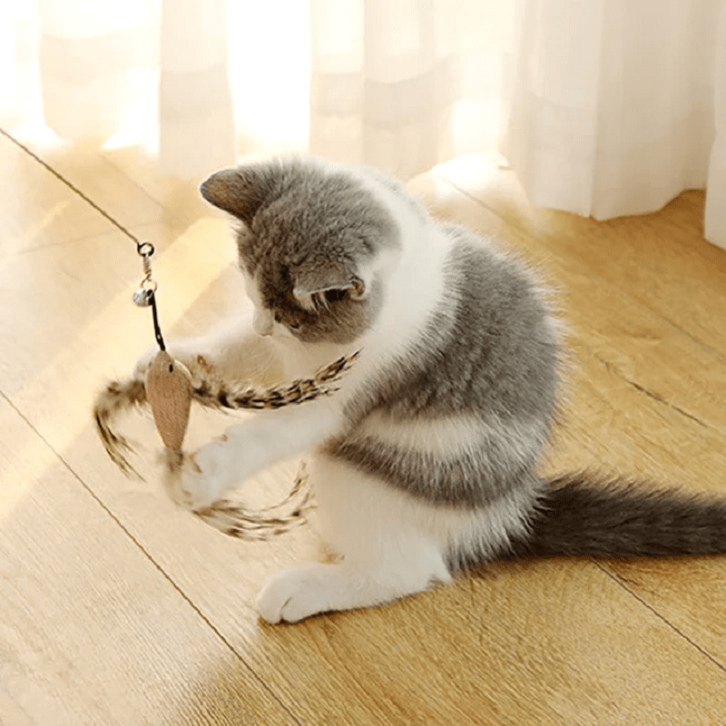 Kitten Playing Teaser Wand Toy