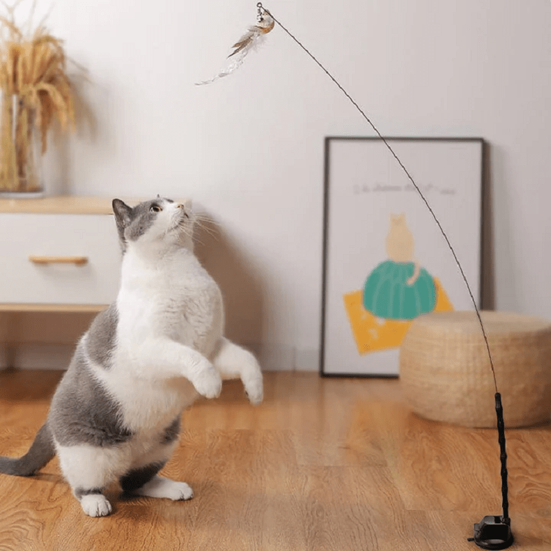 Kitten Playing Teaser Wand Toy