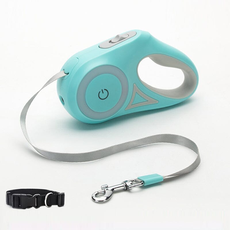 Dog Light Leash