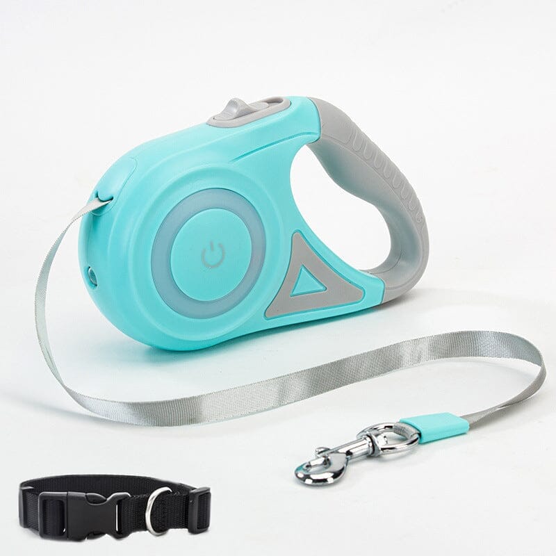 Dog Light Leash