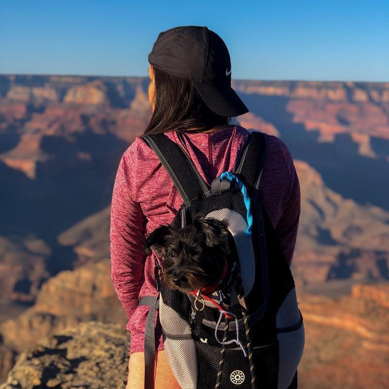 Backpack for Dogs/Cats