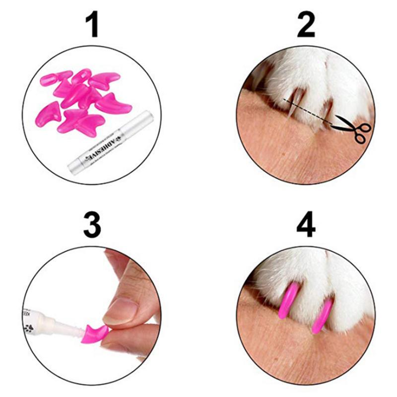 Cat Claw Caps