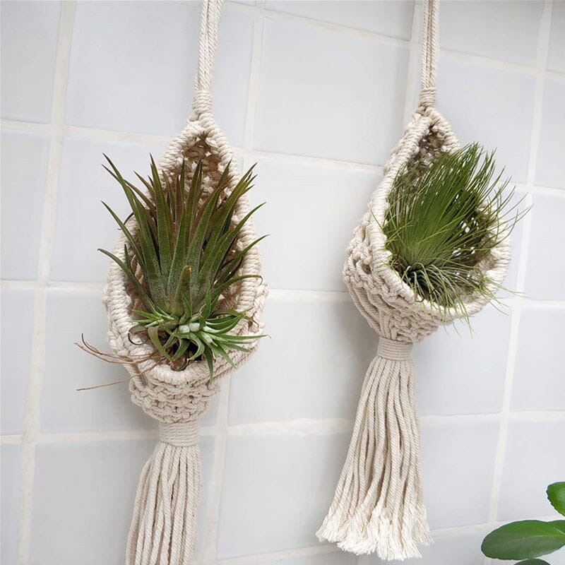 Macrame Hanging Planter Indoor For Air Plant