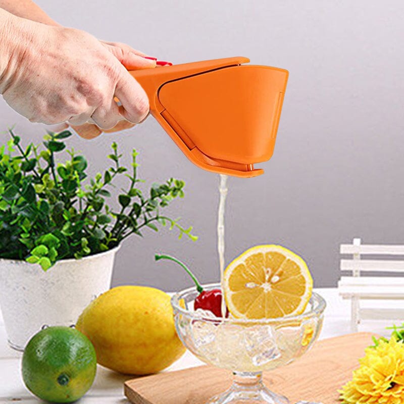 Manual Juicer