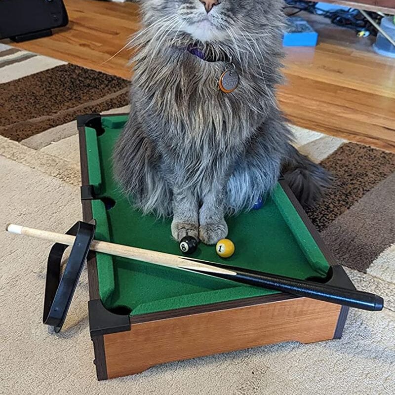 Mini Billiards Table Interactive Cat Toy For Household