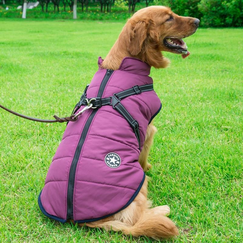 Comfybear™Winter Zipper Coat for Dogs