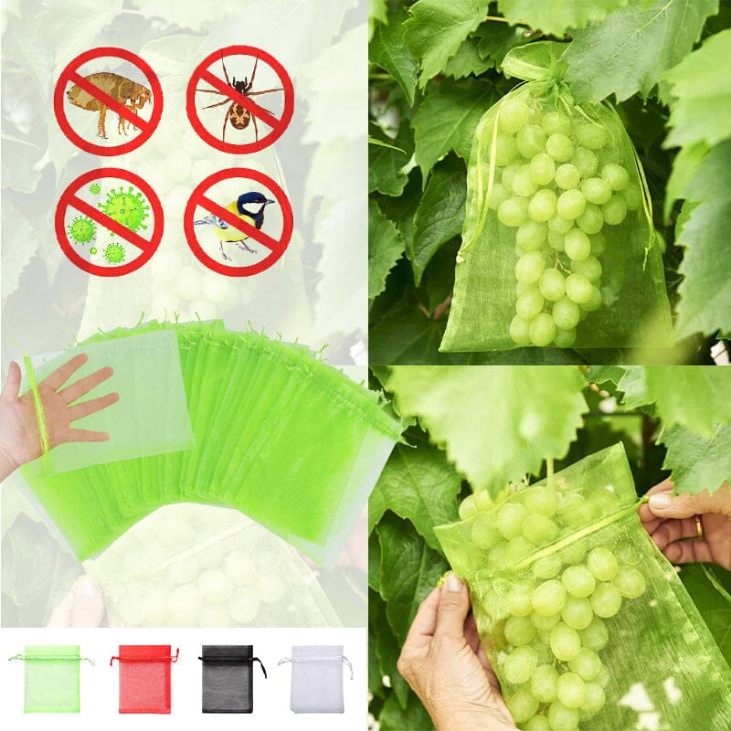 Fruit Protection Bag(100 PCS)