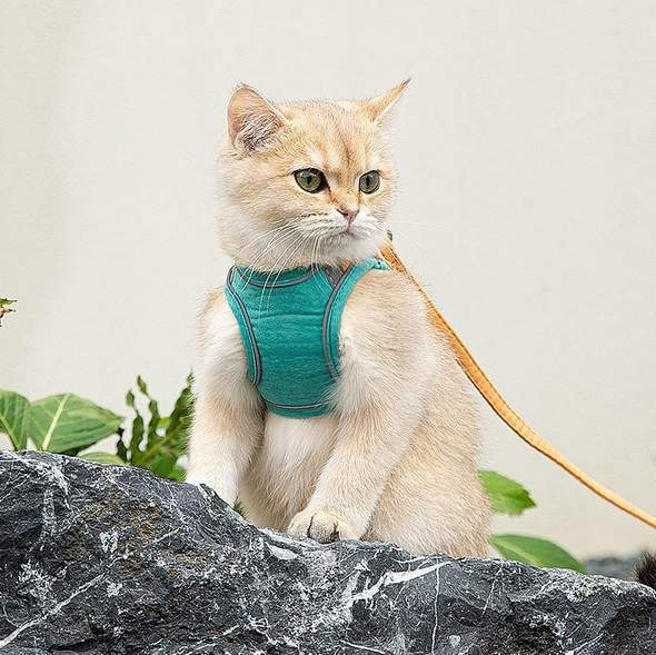 Comfybear™Cat Vest Harness and Leash Set