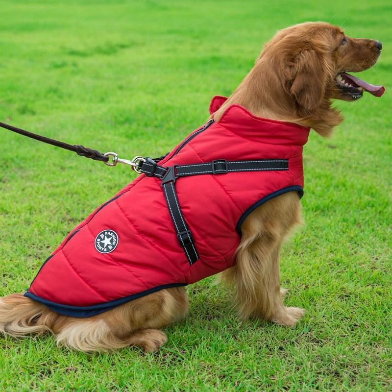 Comfybear™Winter Zipper Coat for Dogs