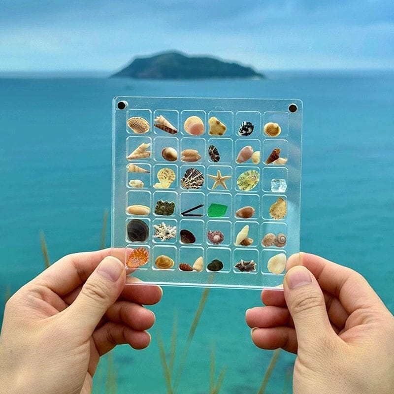 Acrylic Magnetic Seashell Display Box