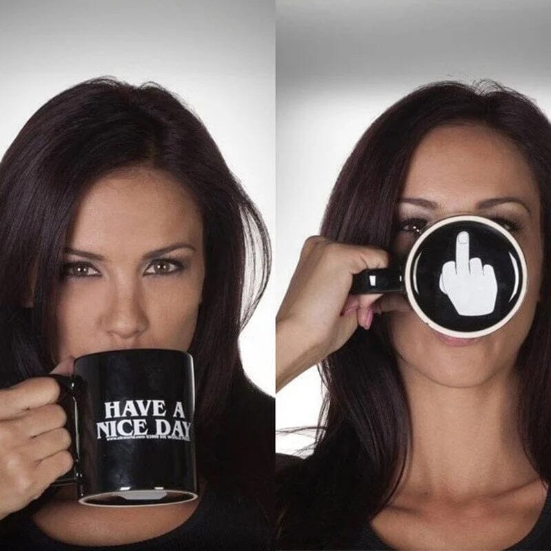 Have a Nice Day Funny Middle Finger Mug