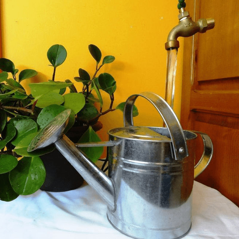 Invisible Flowing Spout Watering Can Fountain