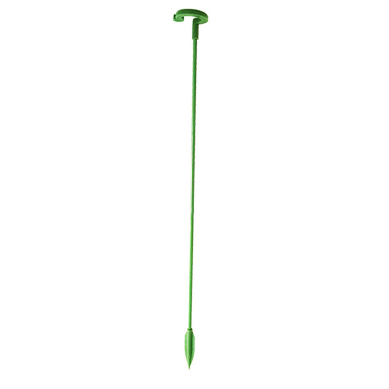 Single Plant Stem