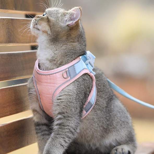 Comfybear™Cat Vest Harness and Leash Set
