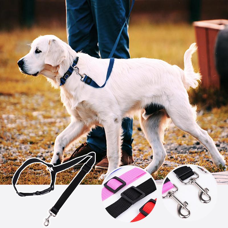 Comfybear™Adjustable Car Dog Leash