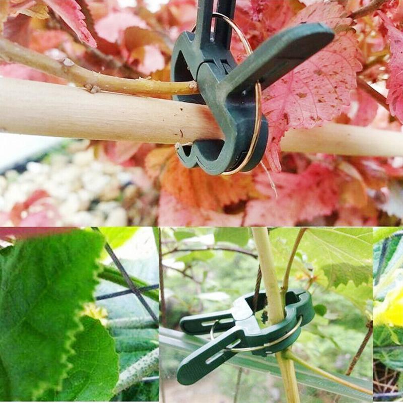 Reusable Garden Flower Lever Loop Gripper Clips