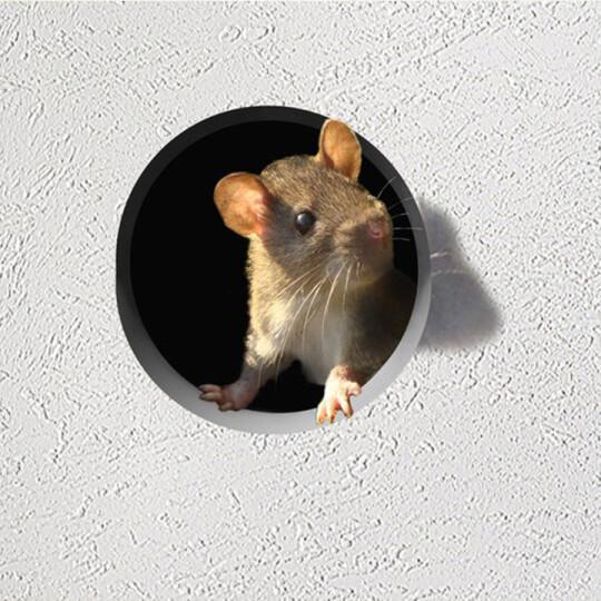 Realistic 3D Mouse Hole Wall Stickers