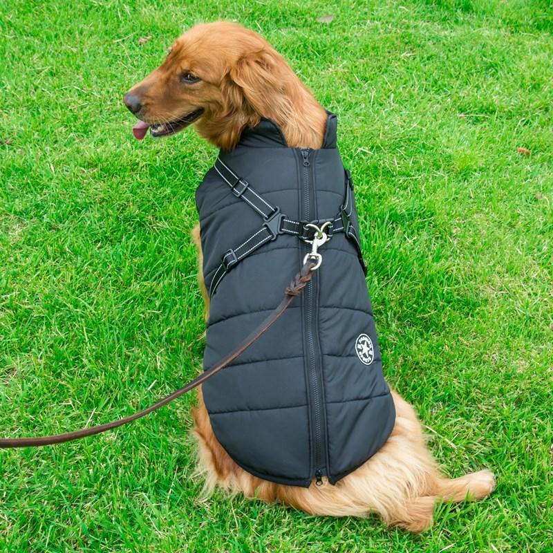 Comfybear™Winter Zipper Coat for Dogs