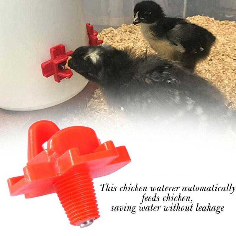 Horizontal Side Mount Chicken Waterer