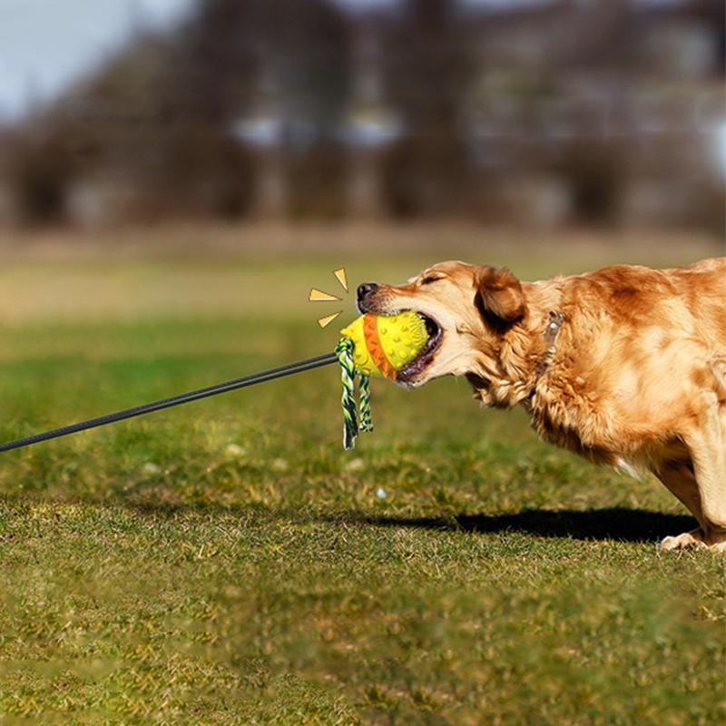 Pet Rope Ball Outdoor Training Toy