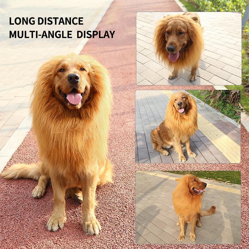 Comfybear™Lion Mane Wig for Dogs