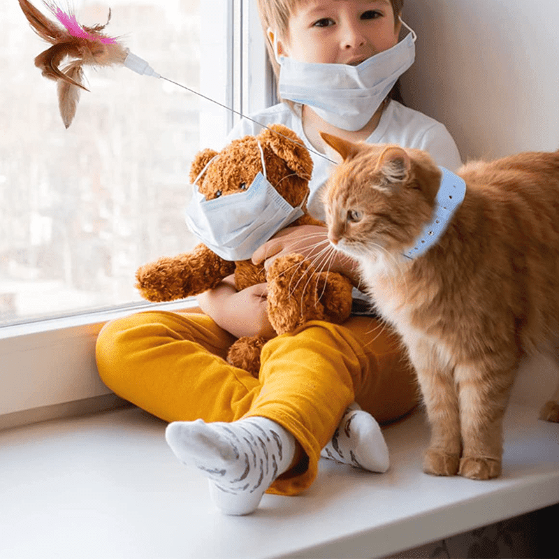 Interactive Funny Cat Toys