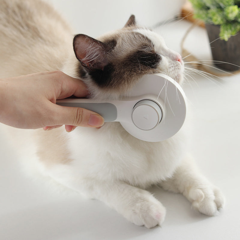 Self Cleaning Slicker Brushes For Pet