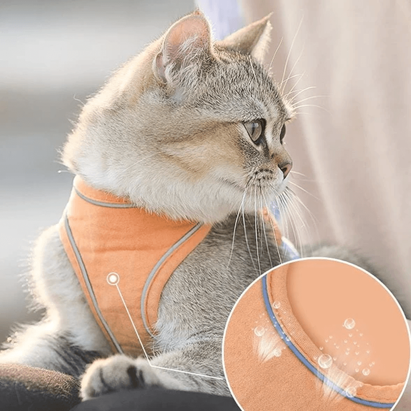 Comfybear™Cat Vest Harness and Leash Set