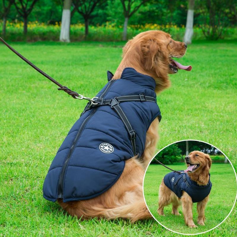 Comfybear™Winter Zipper Coat for Dogs