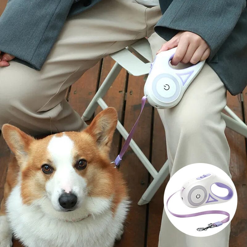 Dog Light Leash