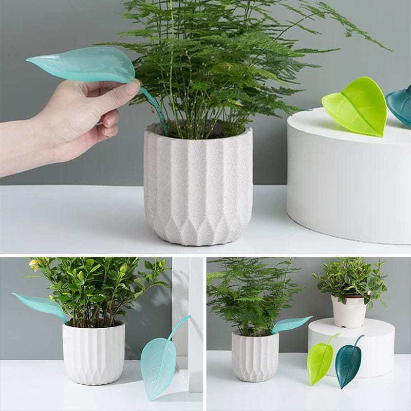 Funny Watering Leaves (6pcs)
