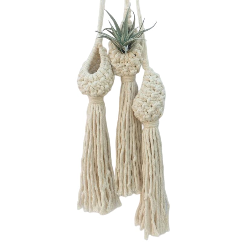 Macrame Hanging Planter Indoor For Air Plant